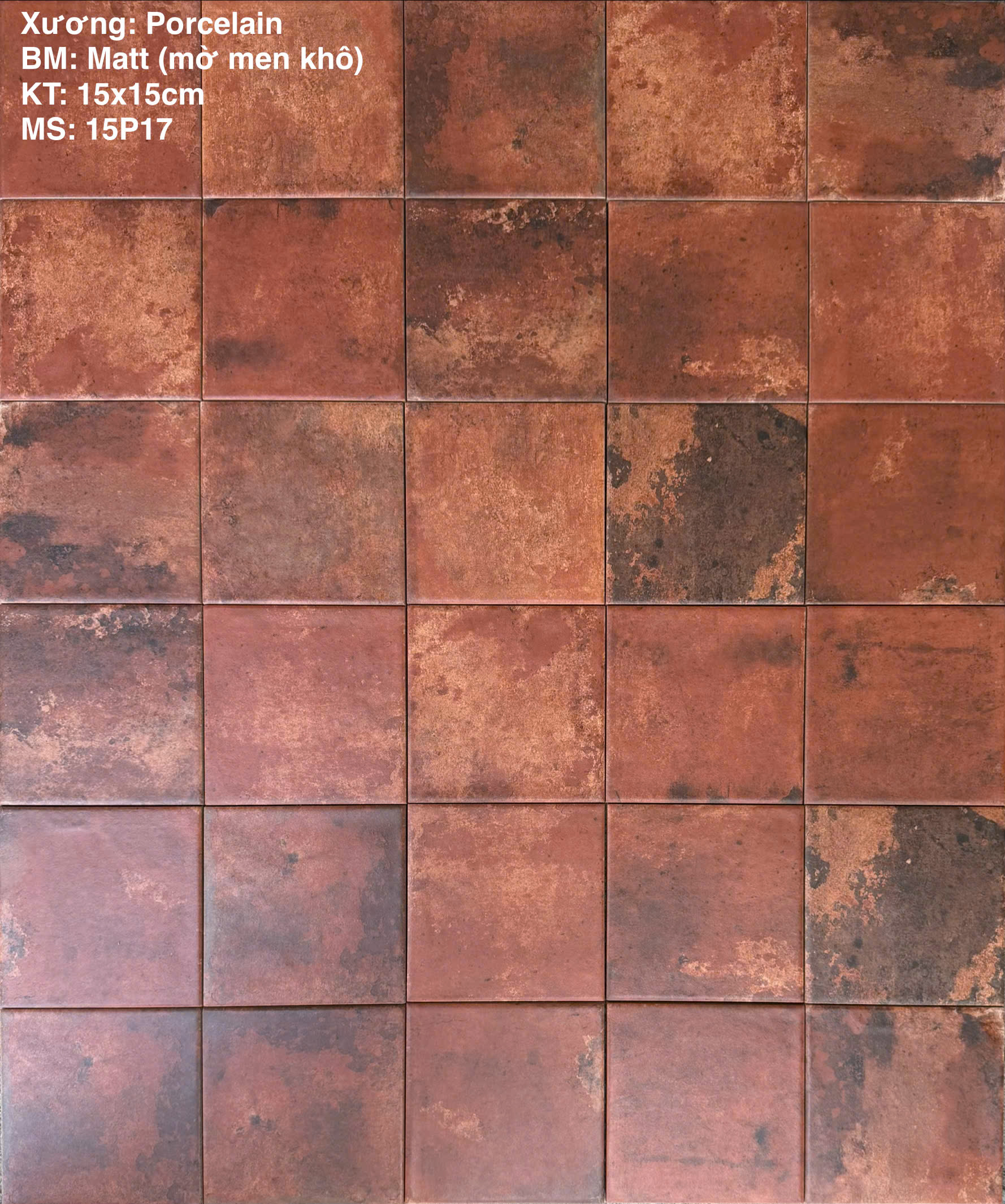 GẠCH THẺ PATINA 15P17